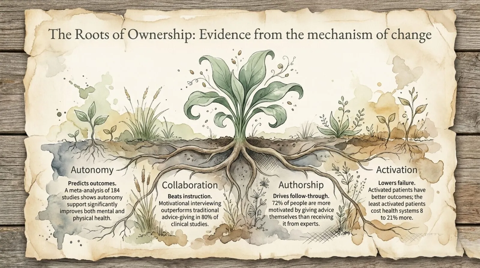 A watercolor plant with four labeled roots: autonomy predicts outcomes, collaboration beats instruction, authorship drives follow-through, activation lowers failure