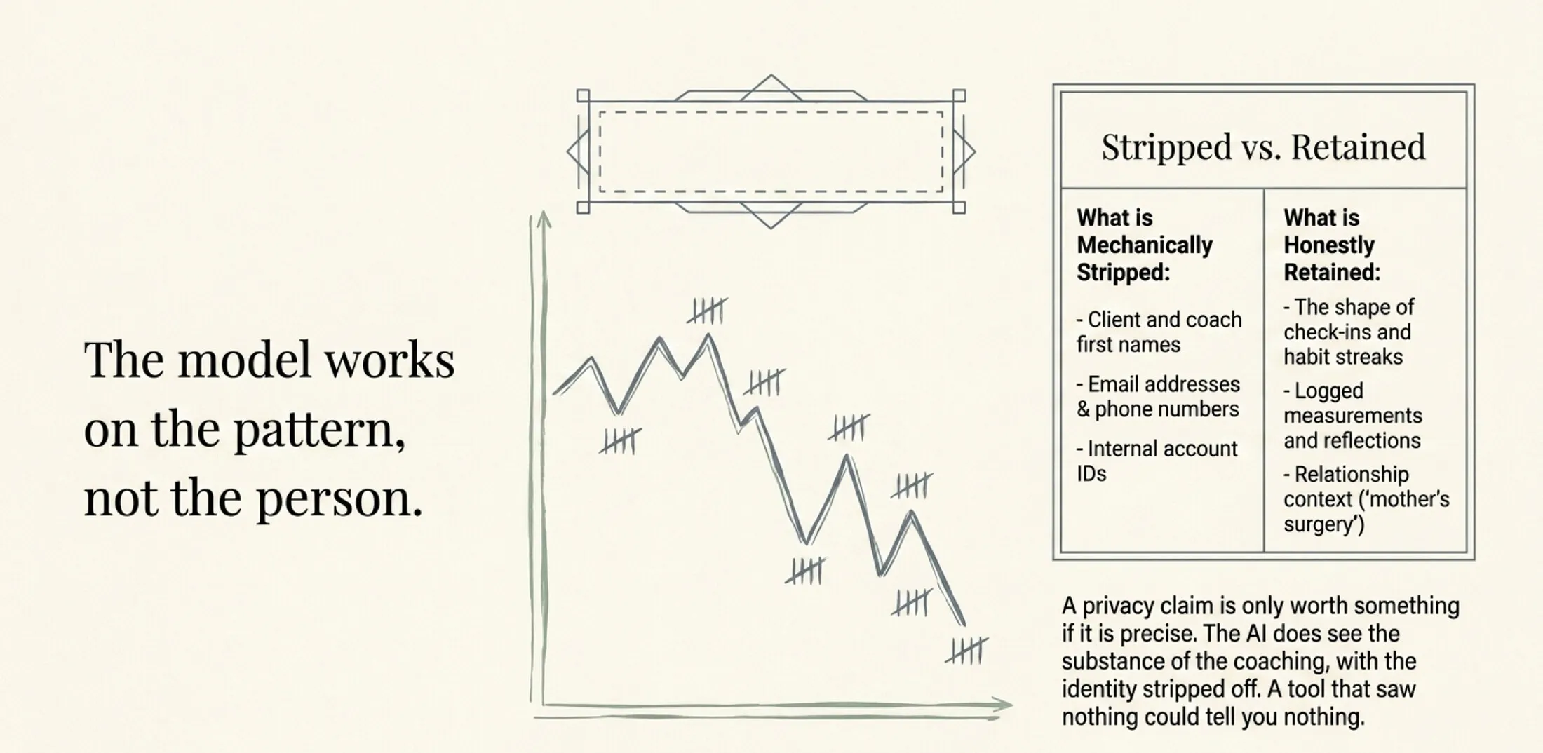 A vintage engraved-style tally chart on cream paper showing a habit streak rising and breaking, under the heading 'The model works on the pattern, not the person.' A two-column table lists what is mechanically stripped, client and coach first names, email addresses and phone numbers, internal account IDs, against what is honestly retained, the shape of check-ins and habit streaks, logged measurements and reflections, and relationship context like a mother's surgery.