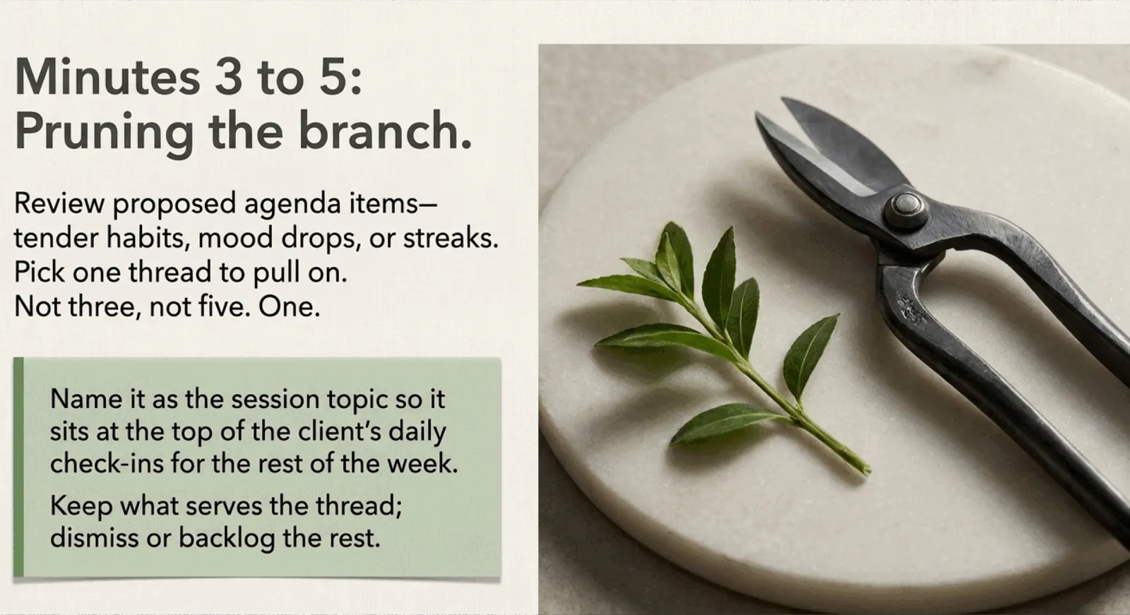 Minutes 3 to 5, pruning the branch: a small pair of garden shears resting next to a leafy sprig on a ceramic dish. Caption reads "Review proposed agenda items — tender habits, mood drops, or streaks. Pick one thread to pull on. Not three, not five. One. Name it as the session topic so it sits at the top of the client's daily check-ins for the rest of the week. Keep what serves the thread; dismiss or backlog the rest."