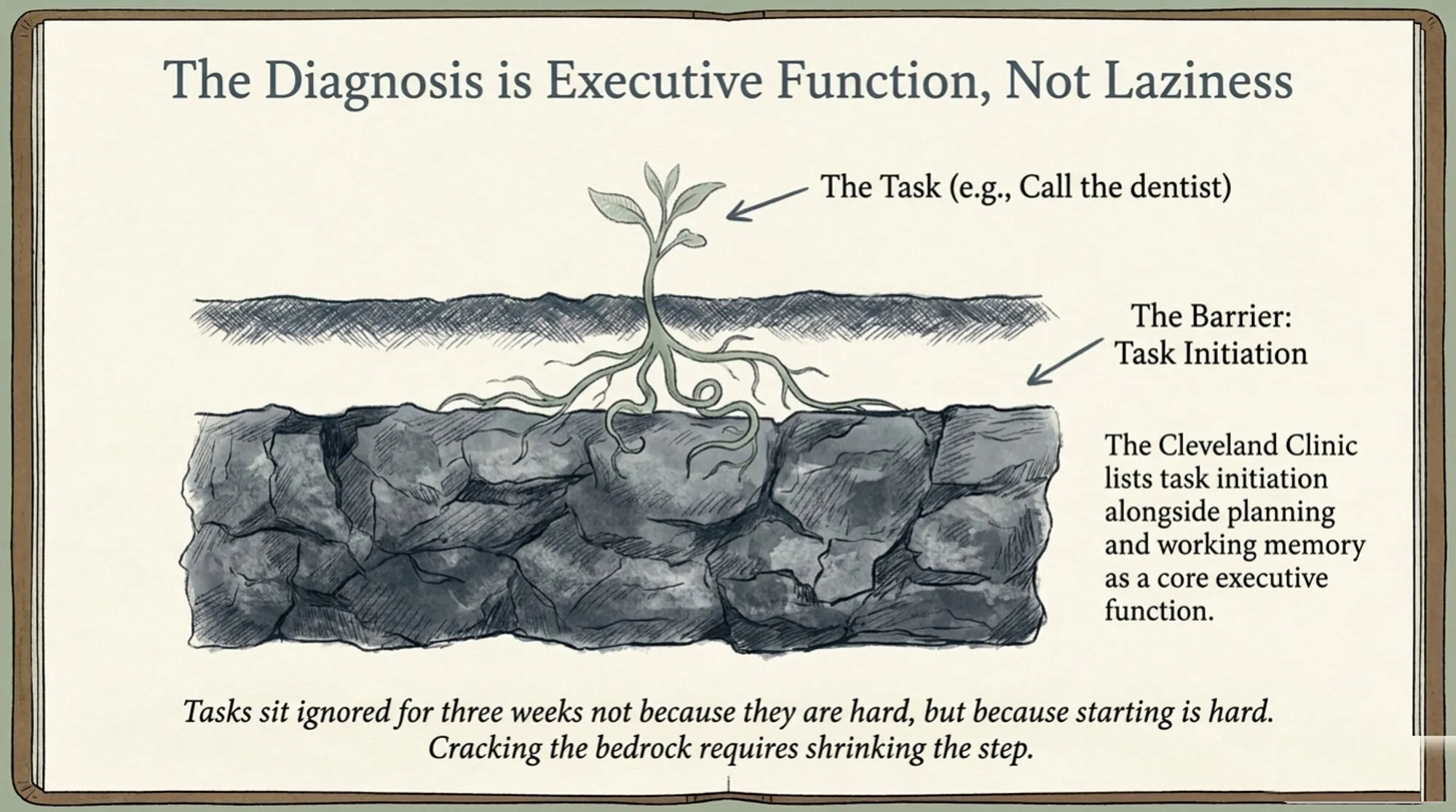A pen-and-ink diagram titled "The Diagnosis is Executive Function, Not Laziness." A small sprout, labeled The Task (e.g., Call the dentist), grows above a soil line, but its roots are tangled in a band of heavy grey bedrock labeled The Barrier: Task Initiation. A note reads that the Cleveland Clinic lists task initiation alongside planning and working memory as a core executive function.
