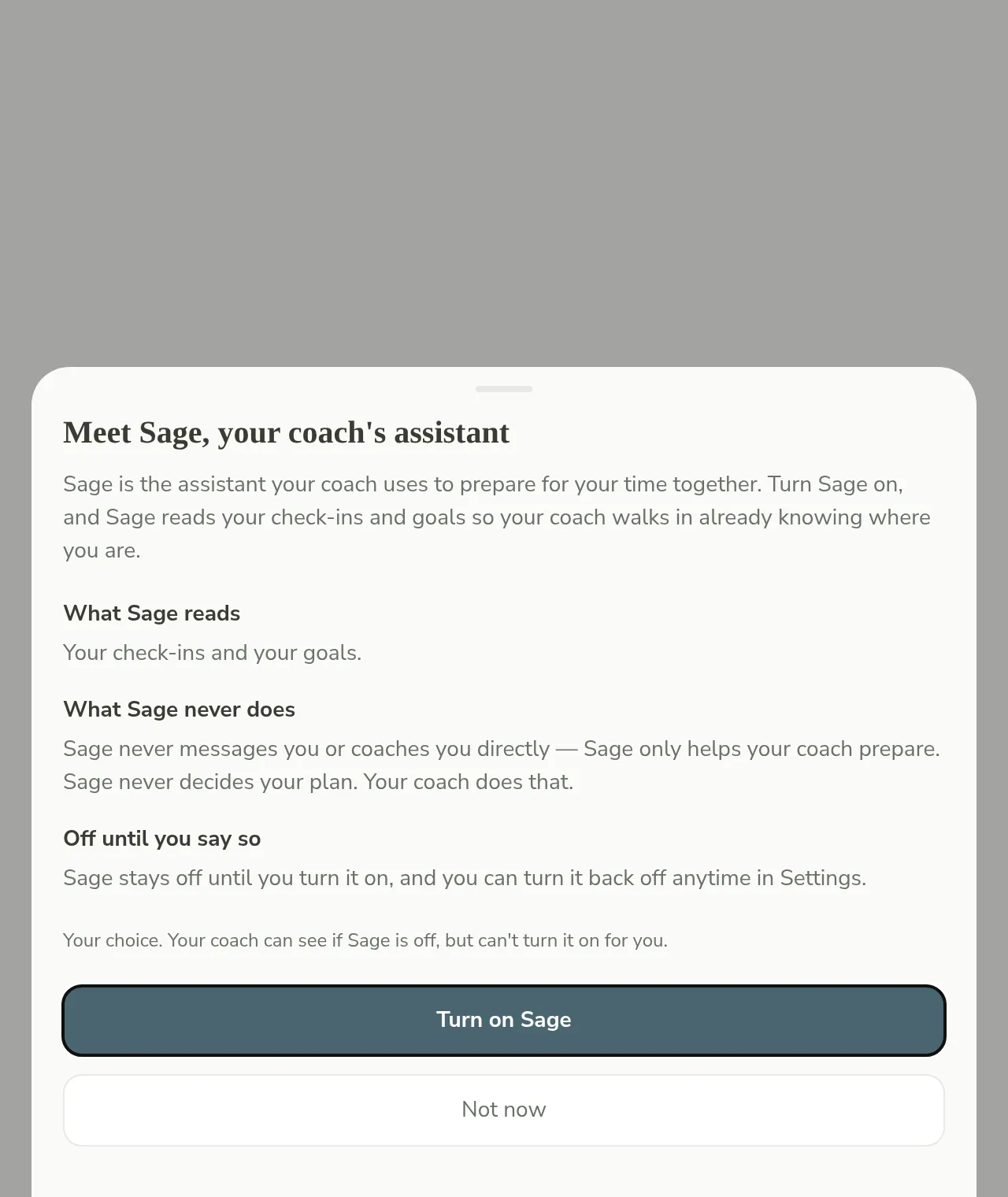 The client's own consent sheet: what Sage reads and never does, staying off until they say so, and Turn on Sage or Not now buttons