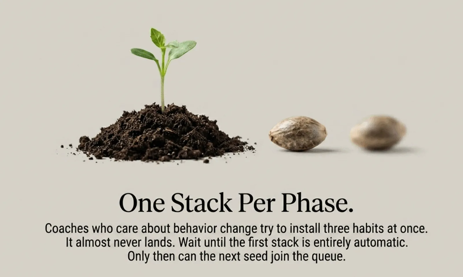 A photo composition titled "One Stack Per Phase." On the left, a healthy green seedling growing from a small mound of dark soil. On the right, two dormant seeds resting on a neutral surface, waiting. Footer: "Coaches who care about behavior change try to install three habits at once. It almost never lands. Wait until the first stack is entirely automatic. Only then can the next seed join the queue."